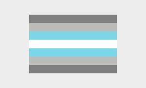 Demigender Demiboy Pride Flagge