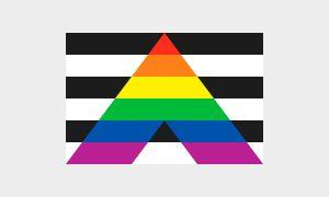Pride Flagge für Heterosexuell/ Straight Ally