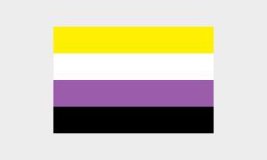 Nonbinär Pride Flagge