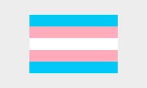 Trans Pride Flagge